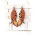 brown long feathers earrings genuine leather jewelry  