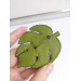 beaded embroidery brooch green monstera