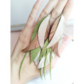 long leather feather earrings genuine leather jewelry olive beige